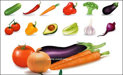 Several common vegetables vector material